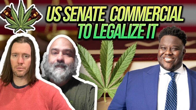 US Senate Candidate Smokes Marijuana in Campaign Ad | Cannabis Legalization News