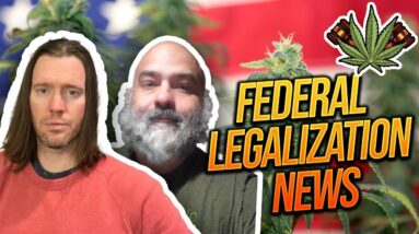 Federal Legalization News | Marijuana Legislation Stalls in Congress