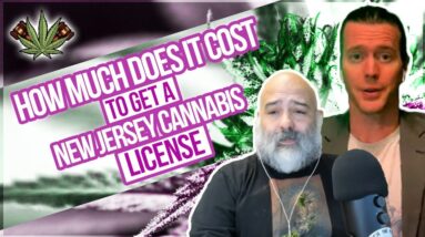 How Much Does it Cost to Apply to Get a New Jersey Cannabis License | License Application Costs
