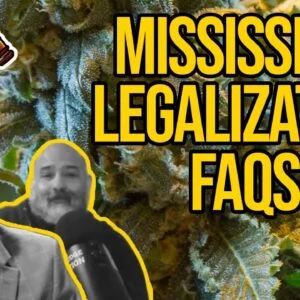 How to Get a Cannabis Business License in Mississippi | Mississippi Medical Marijuana Laws