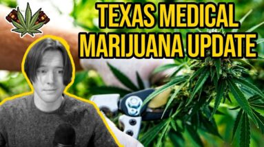 Texas Medical Cannabis Update - Review of pending medical marijuana bills in TX legislature
