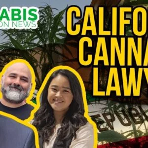 California Cannabis Lawyer | Cultiva Law