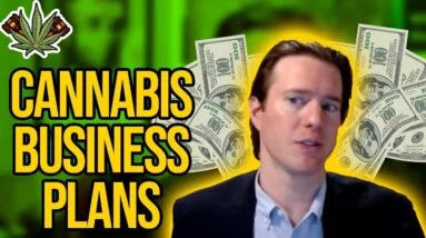 Cannabis Business Plans | How to Make a Marijuana Business Plan