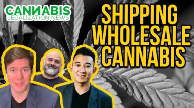 Cannabis Distributors | NABIS