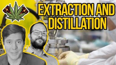 Cannabis Extraction and Distillation - How to Make Cannabis Concentrates
