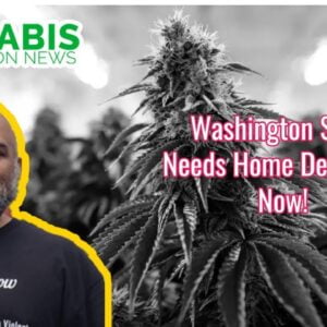 Cannabis Home Deliveries Are More Important Now Then Ever