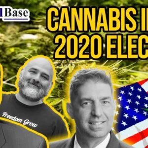 Cannabis in the 2020 Election | Five States Pass Cannabis Measures