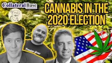 Cannabis in the 2020 Election | Five States Pass Cannabis Measures