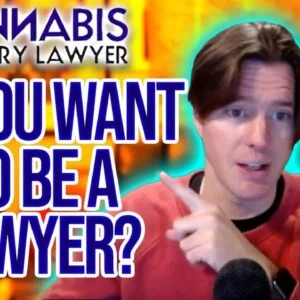 Cannabis Industry Lawyer Jobs | Help Us Open New Markets