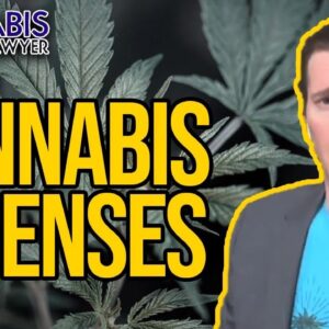 Cannabis License | What are Cannabis Licenses & How to Get One