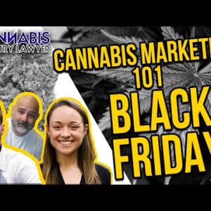 Cannabis Marketing 101: Black Friday Edition