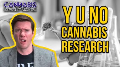 Cannabis Research - Why Marijuana Studies Do Not Get Done