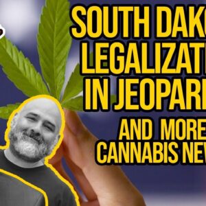 Cannabis Stocks Surge Due to Reddit, South Dakota Judge Rejects Marijuana Amendment