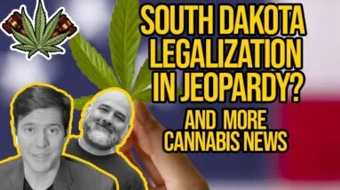 Cannabis Stocks Surge Due to Reddit, South Dakota Judge Rejects Marijuana Amendment