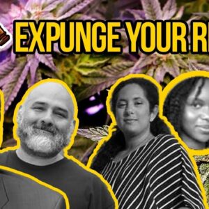 How to Expunge Your Record - National Expungement Week with Cannabis Equity Illinois Coalition