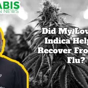 Did My Love For Indica Help Me Recover From The Flu?