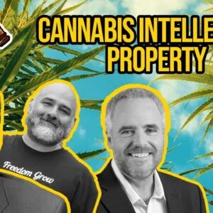 Can You Trademark Cannabis Brands? Cannabis Intellectual Property Questions & Answers