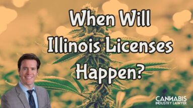 Is this the End of Social Equity in Illinois? When Will Licenses For Dispensaries Happen?