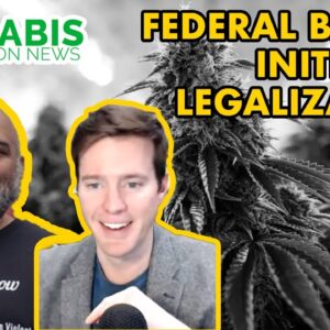 Federal Ballot Initiative Legalization News