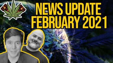 Federal Cannabis Legalization News - February 2021 - Cannabis News Roundup