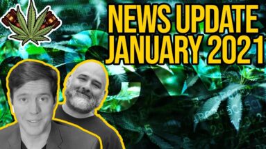 Federal Cannabis Legalization News - January 2021 - Cannabis News Roundup