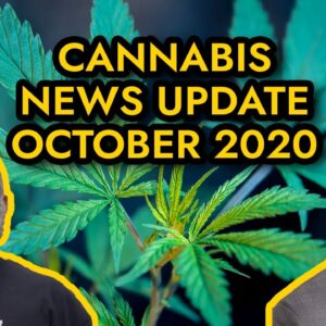 Federal Cannabis Legalization News - October 2020 - Cannabis News Roundup
