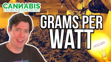 grams per watt - cannabis yield per light for harvested weight