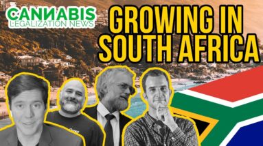 Growing Legal Cannabis in South Africa