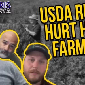 Hemp Farmers Hurt by New USDA Rules