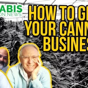 How to Grow Your Cannabis Business