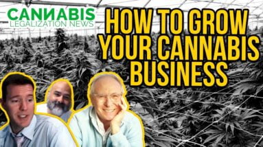 How to Grow Your Cannabis Business