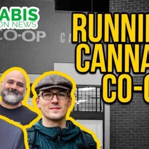 How to Run a Cannabis Co-op | Chicago Cannabis Company