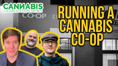How to Run a Cannabis Co-op | Chicago Cannabis Company
