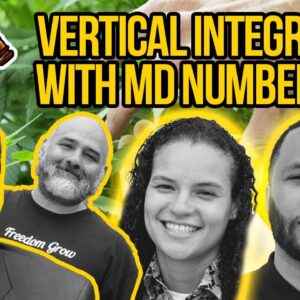 How to Run a Vertically Integrated Cannabis Company