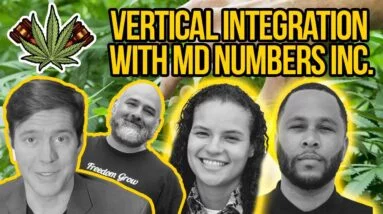 How to Run a Vertically Integrated Cannabis Company