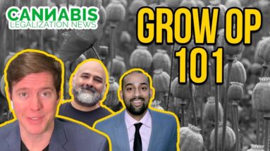How to Start a Legal Grow Op -Washington Tier 3 Cannabis Grow