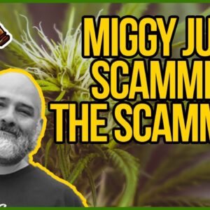 How to Troll Dispensary Scammers