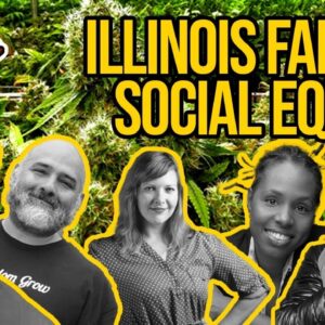 Illinois Cannabis Essentially Suspends Social Equity