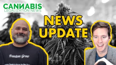 Illinois Cannabis Licenses ARE COMING, COVID-19, and More News