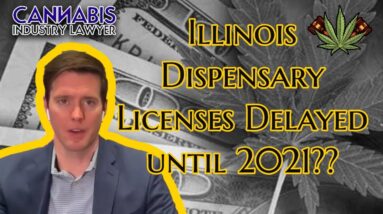 Illinois Cannabis Licenses Delayed Until Spring 2021?
