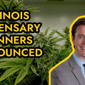 Illinois Dispensary Winners Announced.