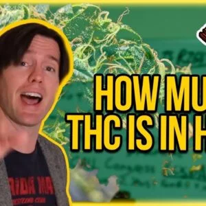 How much THC is in Hemp? THC Levels in Hemp Explained - Why 1% is better than 0.3% THC Hemp