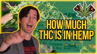 How much THC is in Hemp? THC Levels in Hemp Explained - Why 1% is better than 0.3% THC Hemp