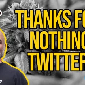 Thanks For Nothing Twitter | Marijuana Trending on Twitter Despite Marijuana Shadow Ban