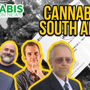 Is Cannabis Legal in South Africa?