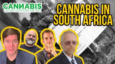 Is Cannabis Legal in South Africa?