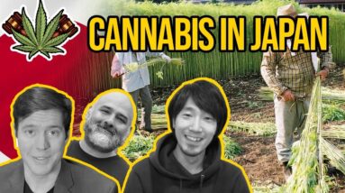 Cannabis in Japan | Is Cannabis Legal in Japan? | Marijuana in Japan | CBD in Japan