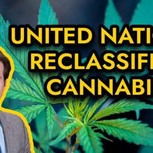 UN Reclassifies Cannabis - No Longer Schedule IV Drug |1961 Single Convention on Narcotic Drugs