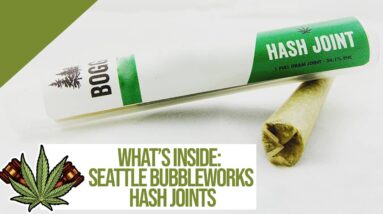 Joint Reviews: Seattle BubbleWorks Hash Joints