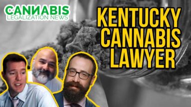 Kentucky Cannabis Lawyer | Suhre & Associates
